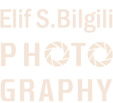 esb-photo2_retina